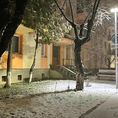 Twin Apartments Sibiu Bagian luar foto