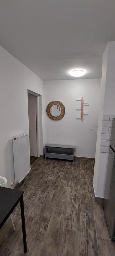 Twin Apartments Sibiu Bagian luar foto