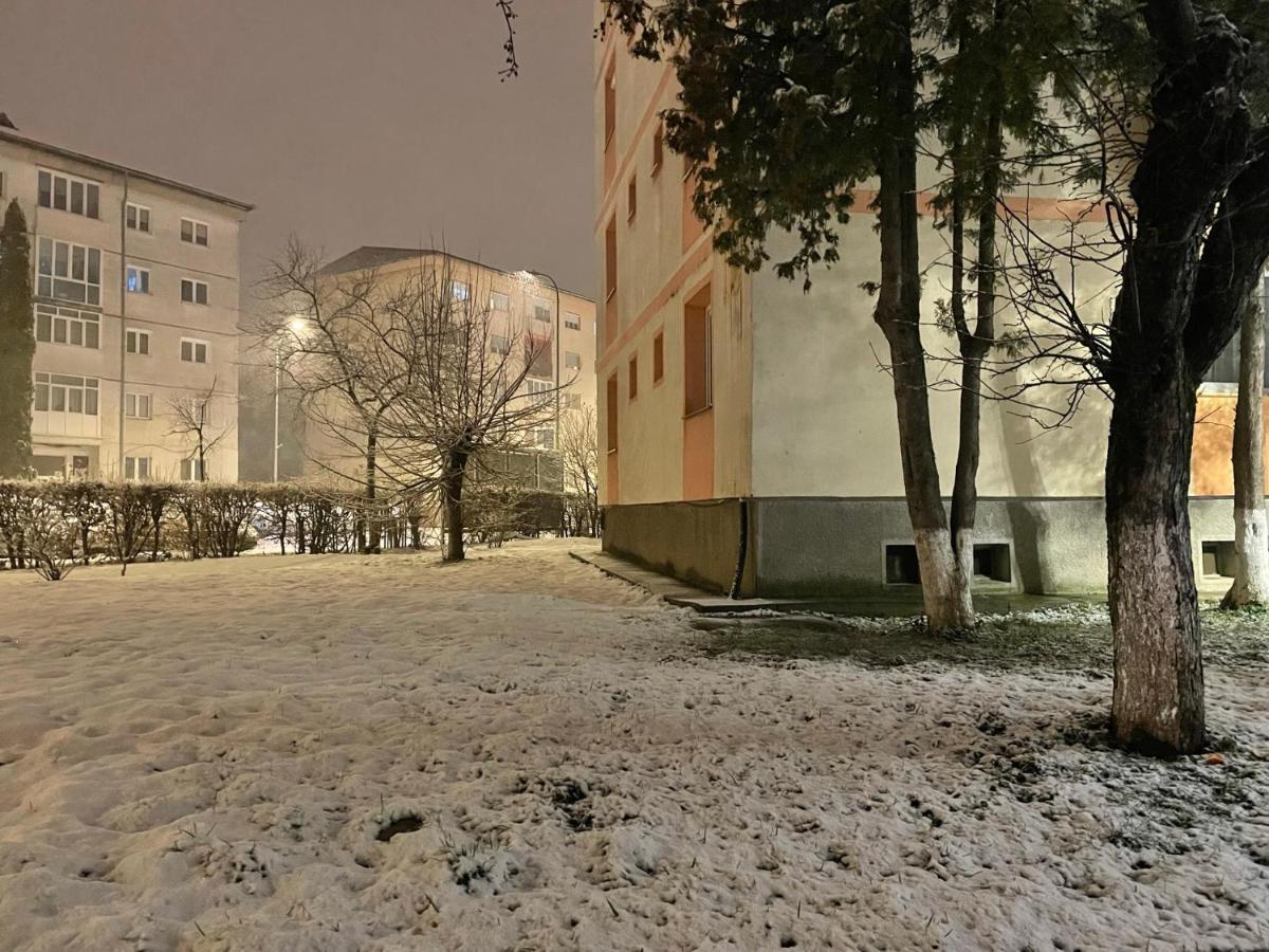 Twin Apartments Sibiu Bagian luar foto