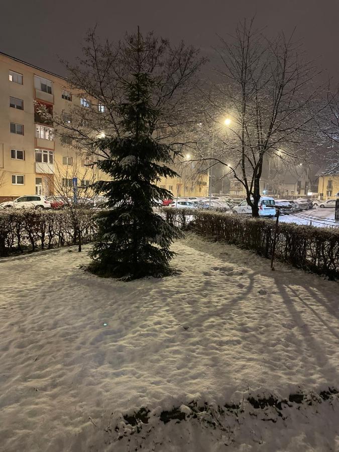 Twin Apartments Sibiu Bagian luar foto