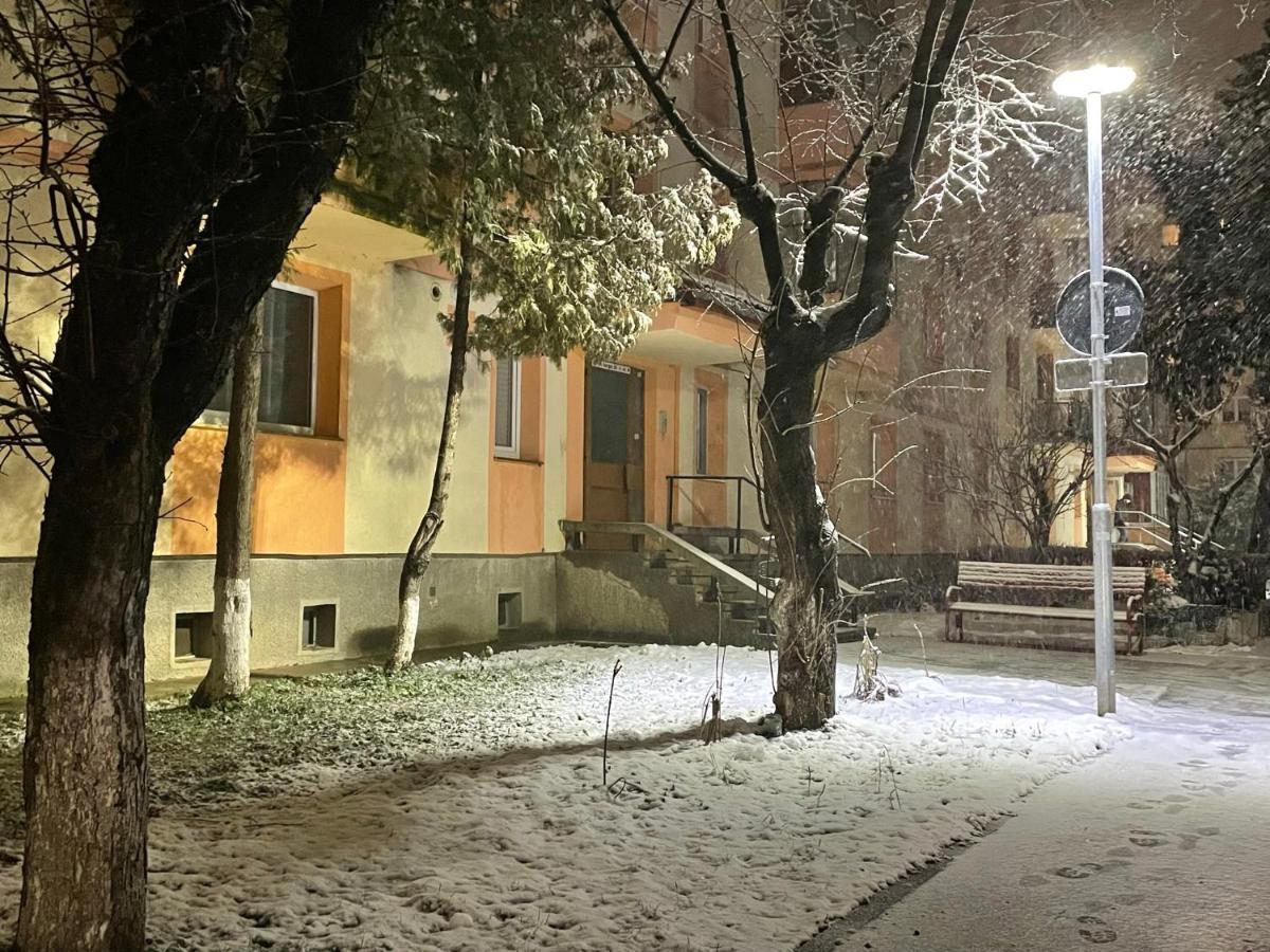 Twin Apartments Sibiu Bagian luar foto